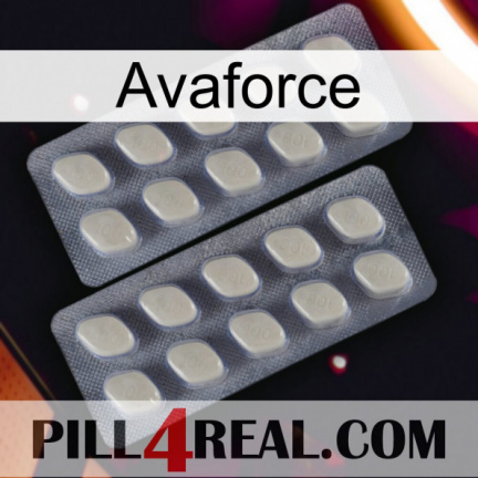 Avaforce 07